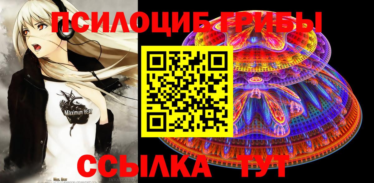 Псилоцибиновые грибы прущие грибы  Вход с VPN  магазин  наркотиков  Россошь 