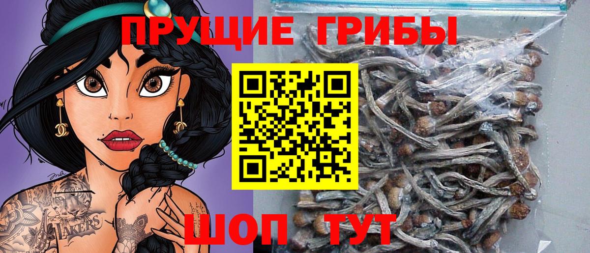 Галлюциногенные грибы Psilocybe Россошь